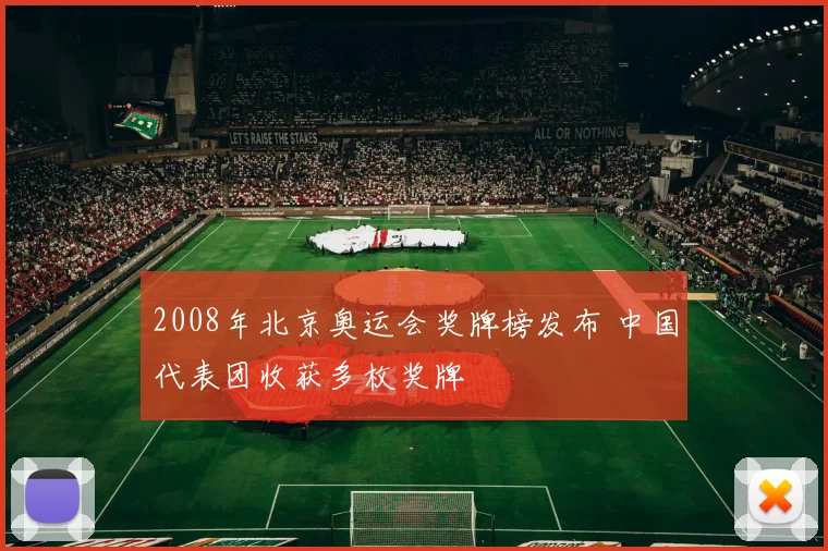 2008年北京奥运会奖牌榜发布 中国代表团收获多枚奖牌