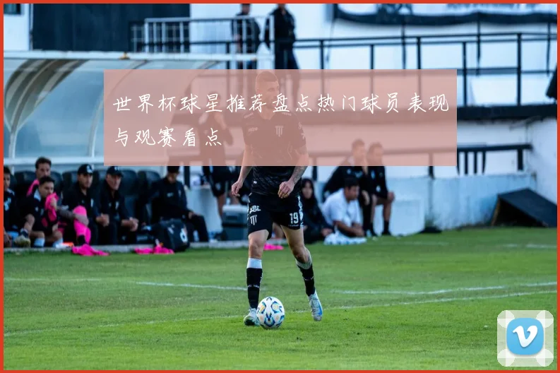 世界杯球星推荐盘点热门球员表现与观赛看点