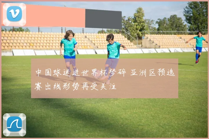 中国球迷进世界杯梦碎 亚洲区预选赛出线形势再受关注