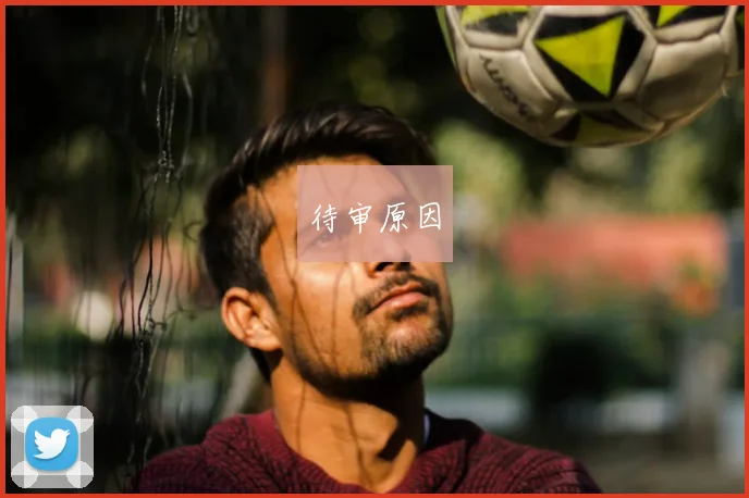 待审原因
