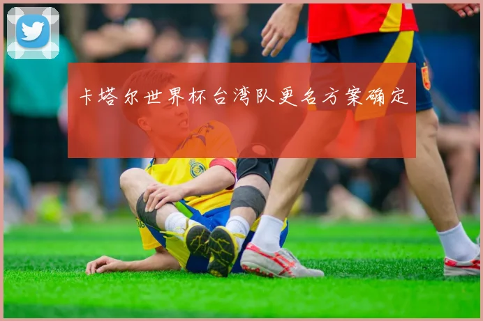 卡塔尔世界杯台湾队更名方案确定