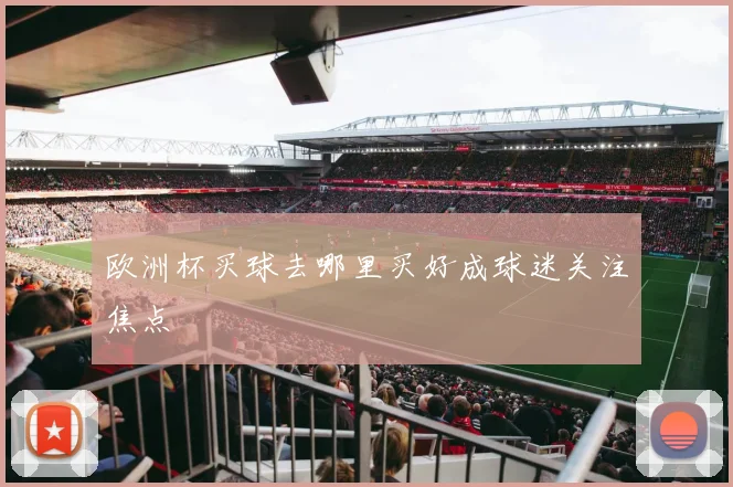 欧洲杯买球去哪里买好成球迷关注焦点