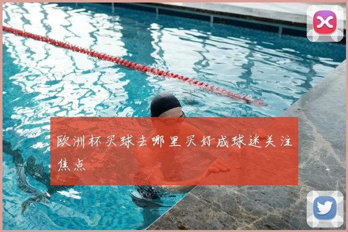 欧洲杯买球去哪里买好成球迷关注焦点